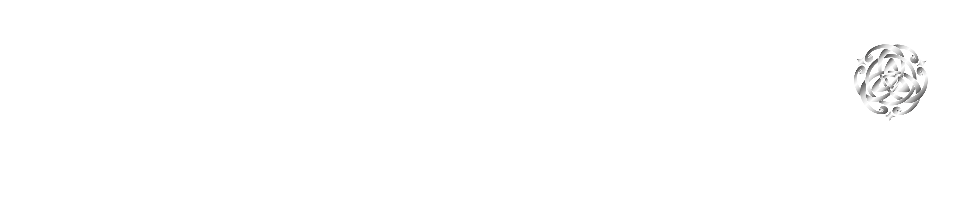 Sapienso logo
